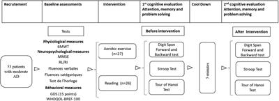 Does acute aerobic exercise enhance selective attention, working memory, and problem-solving abilities in Alzheimer's patients? A sex-based comparative study
